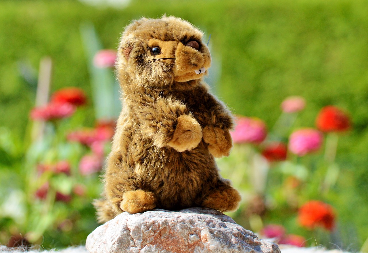 Image - beaver stuffed animal toys soft toy