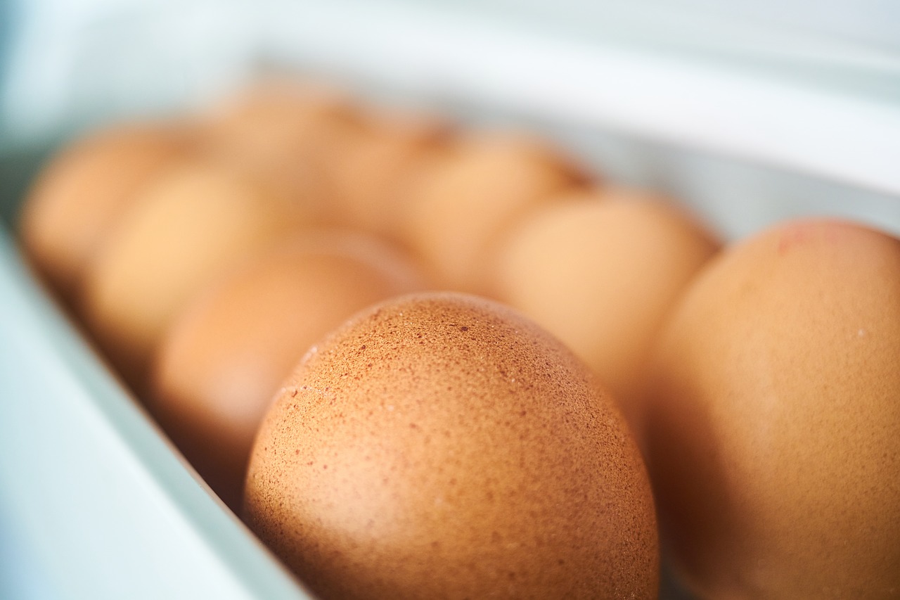 Image - egg chicken closet ovarian