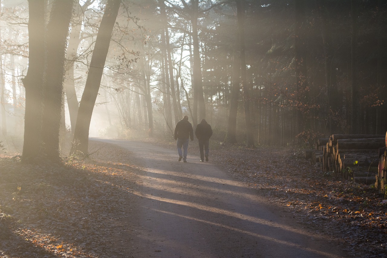 Image - people forest outside bright