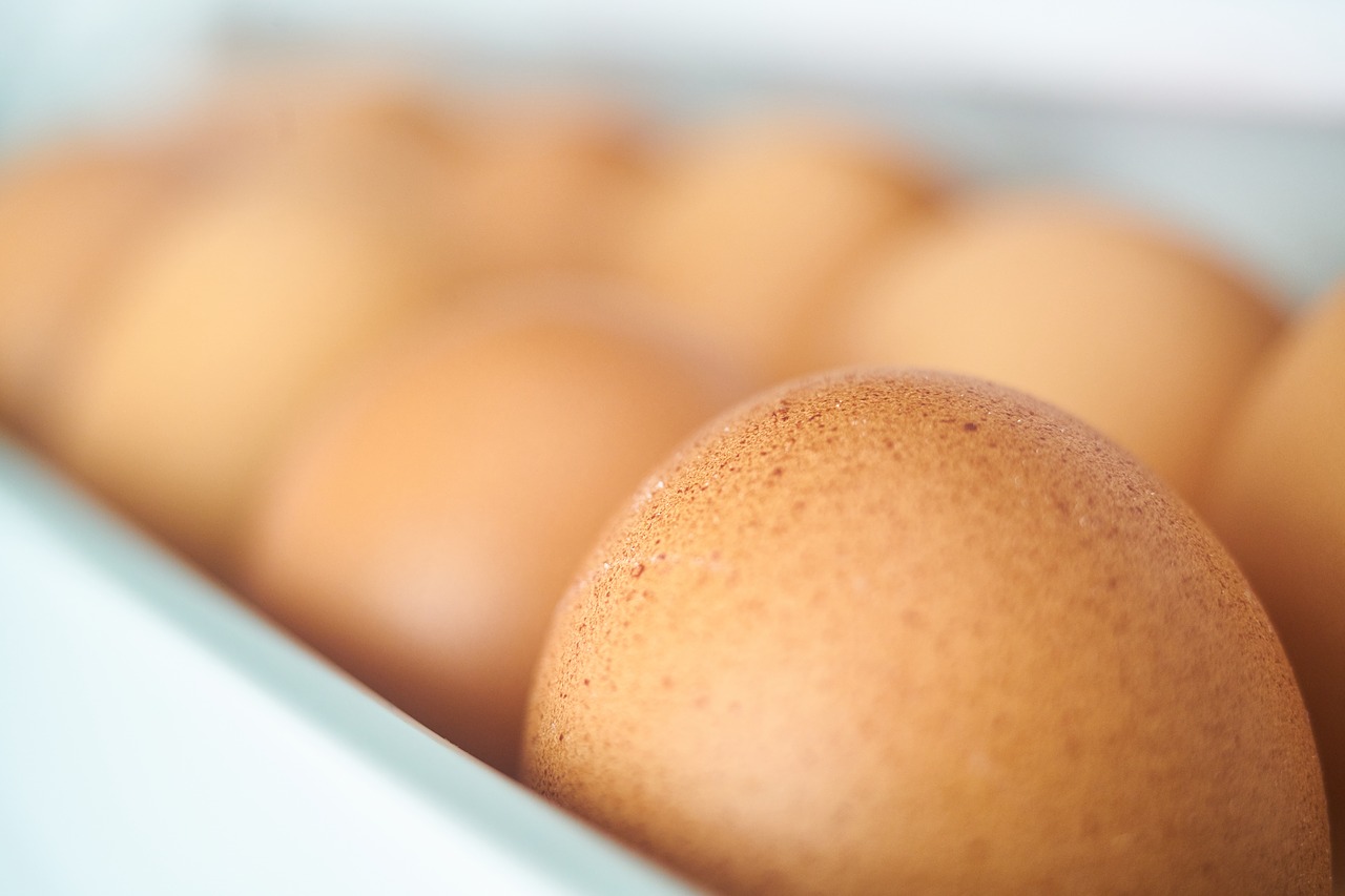 Image - kitchen egg fresh chicken diet