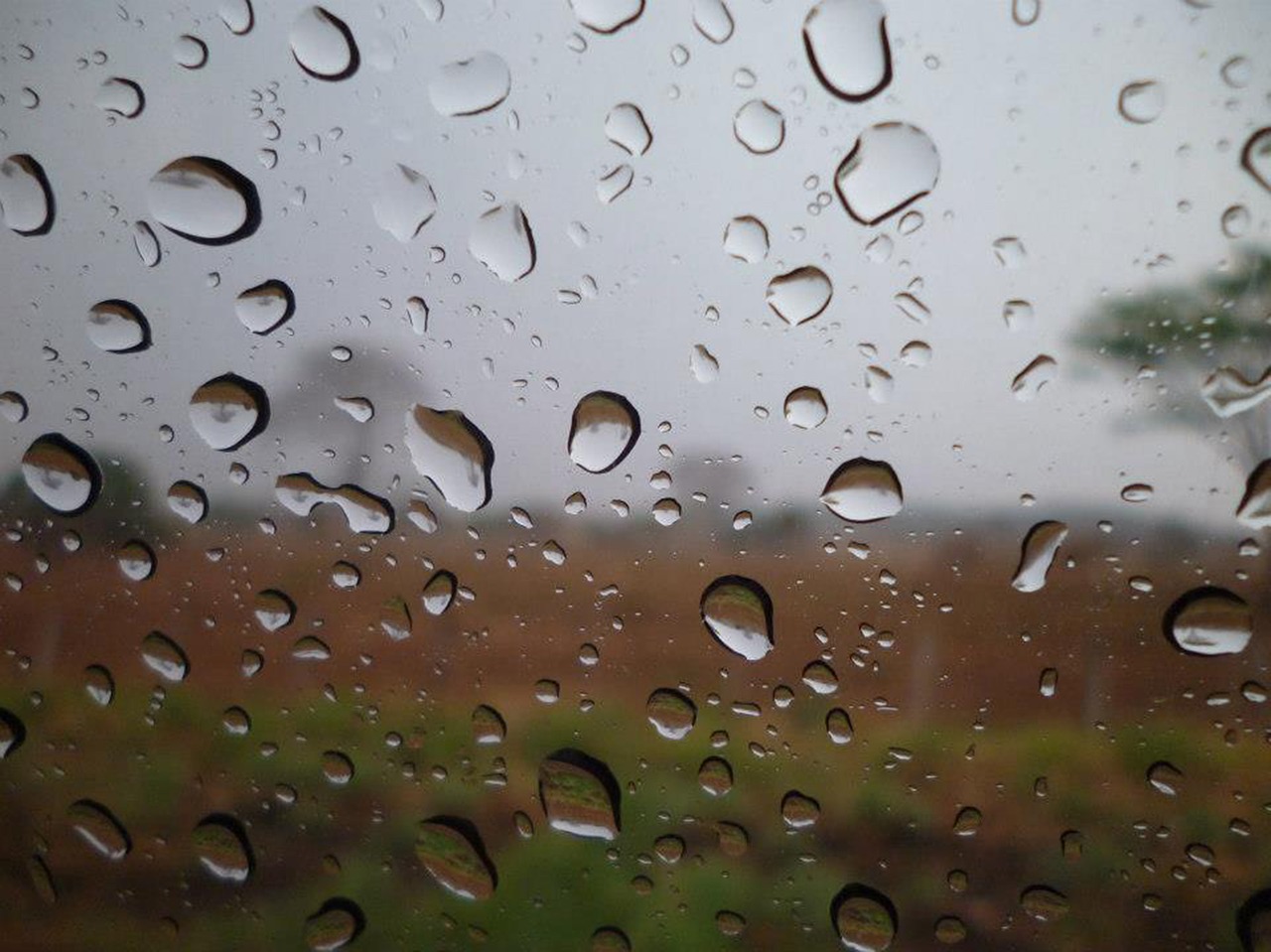 Image - rain glass cold drops window