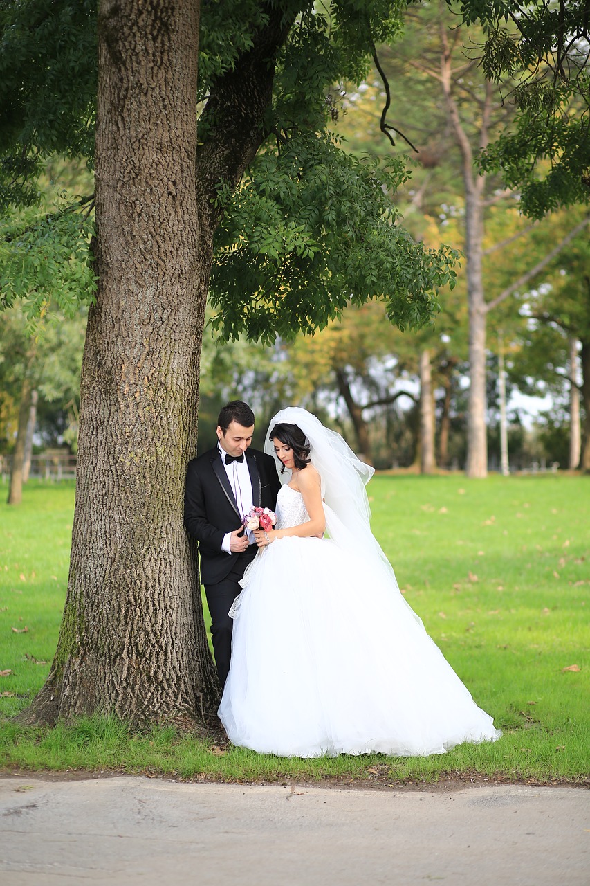 Image - nature new couple