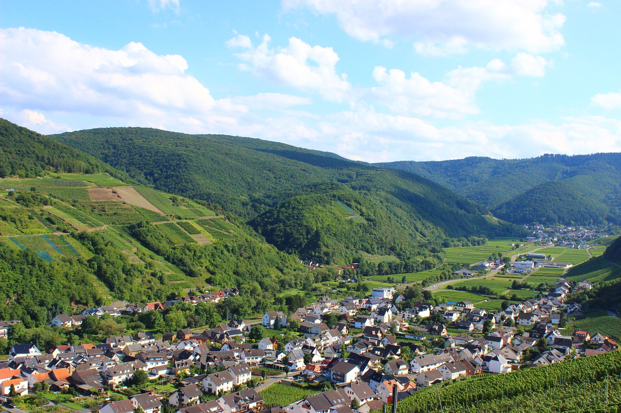 Image - dernau ahr valley vineyards vines