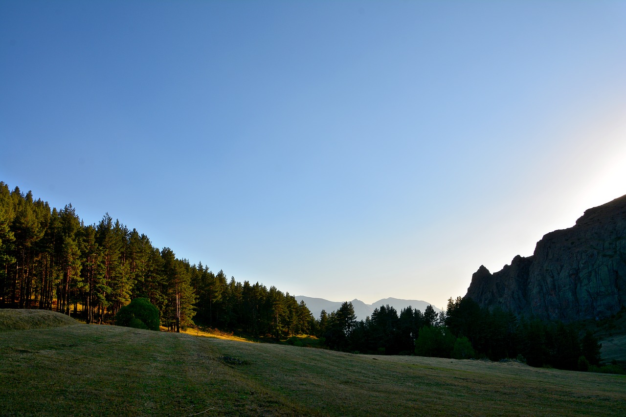 Image - forest grass kaçkars nature green