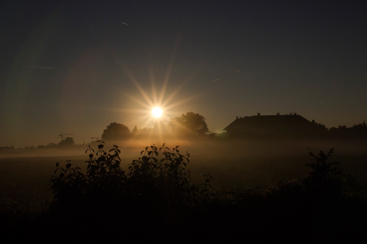 Image - fog sunrise sun atmosphere