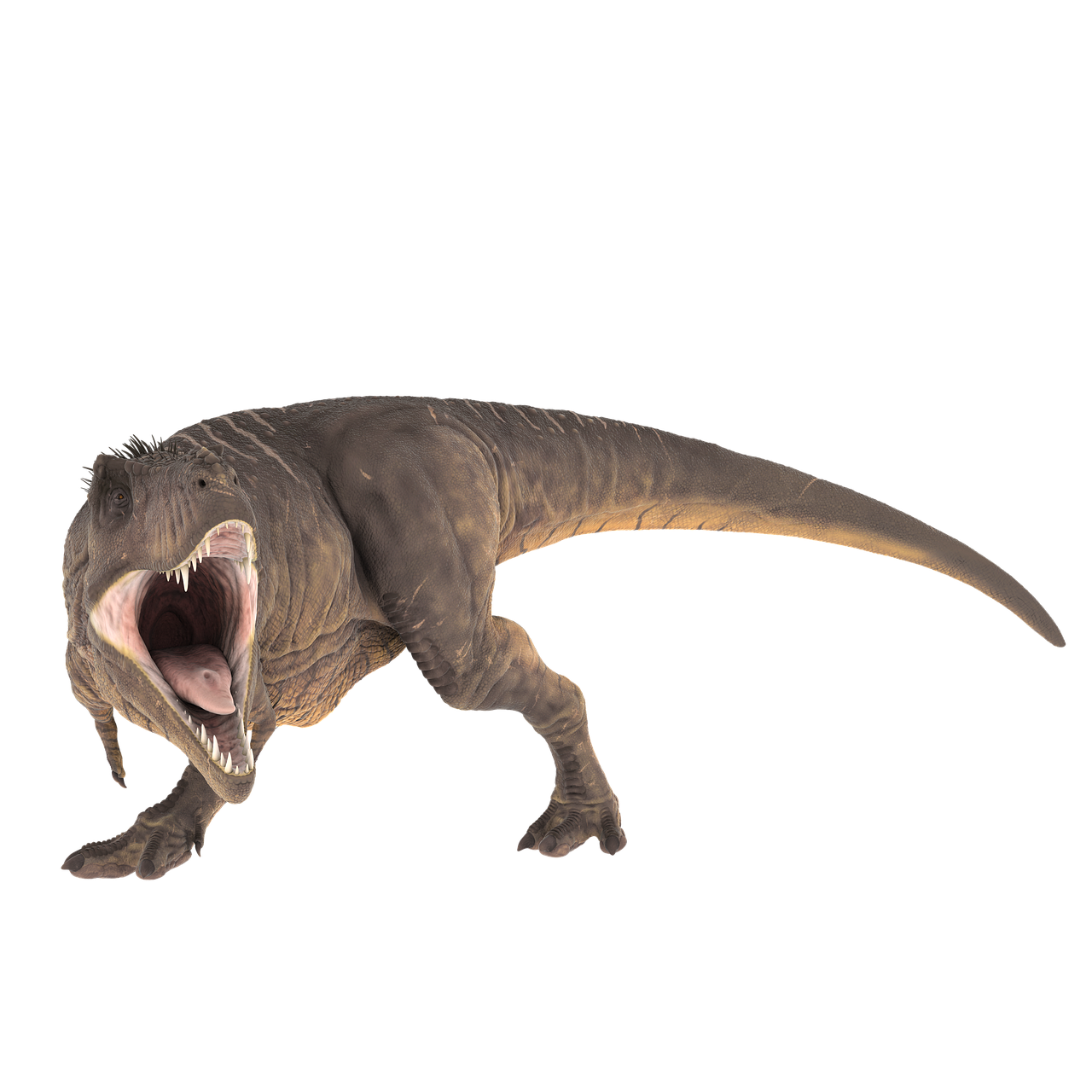 Image - t rex prehistoric jurassic