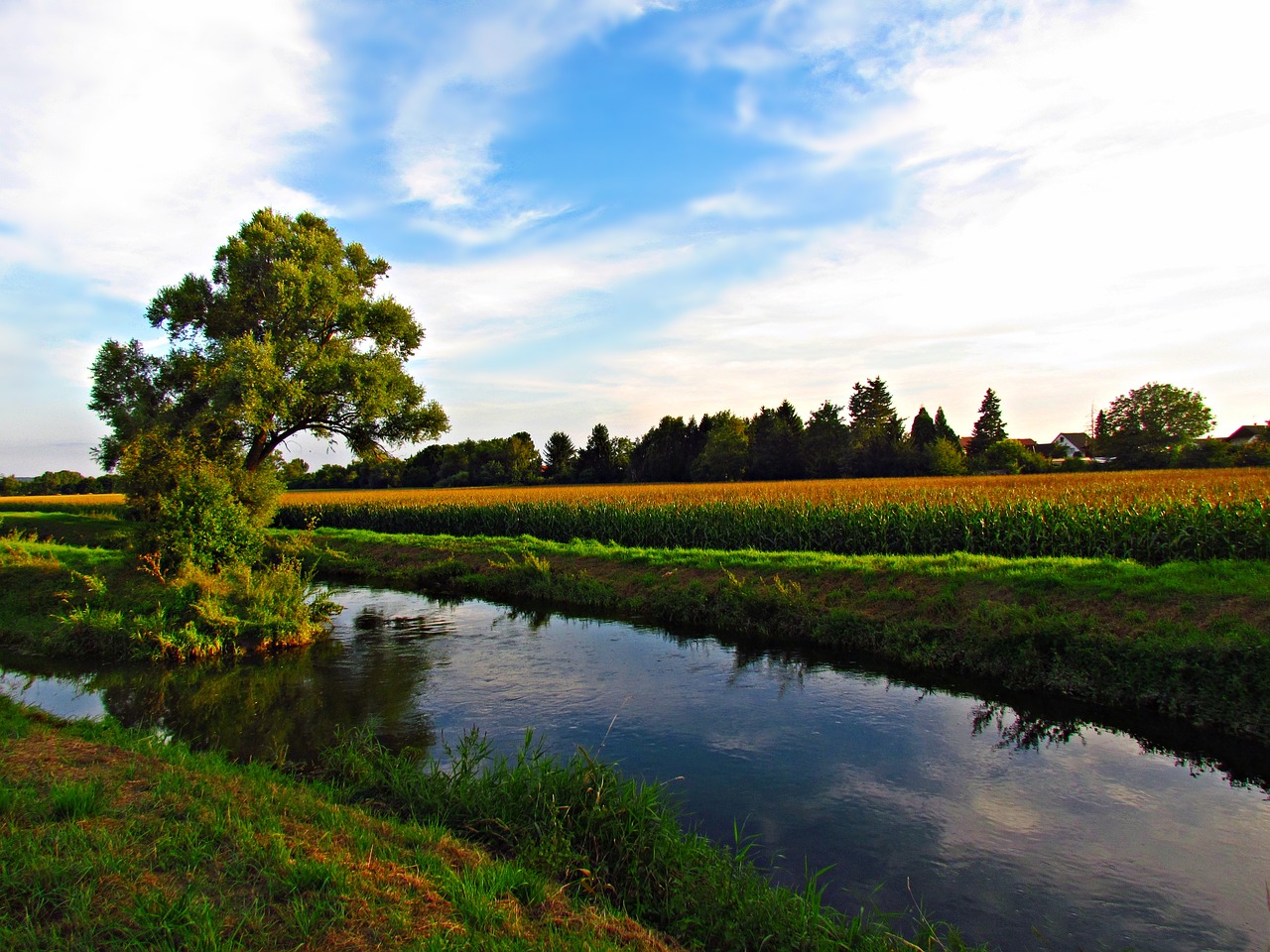 Image - meadow water tree field sky