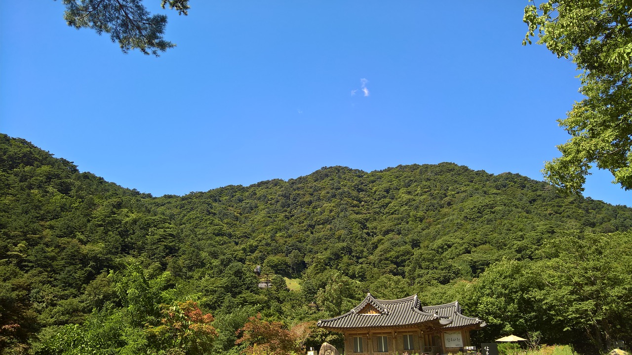 Image - forest temple pagoda nature travel