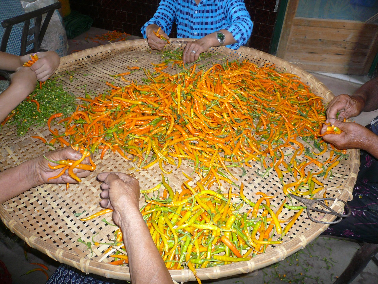 Image - red pepper yellow gong pepper hunan