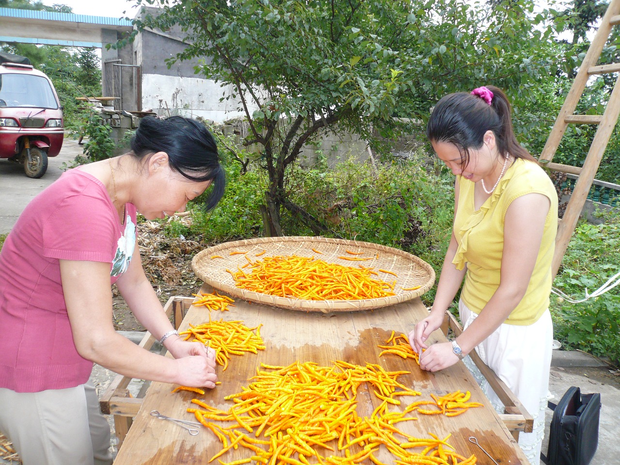 Image - red pepper yellow gong pepper