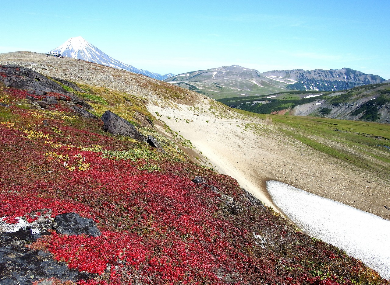 Image - mountains volcano mushrooms tundra