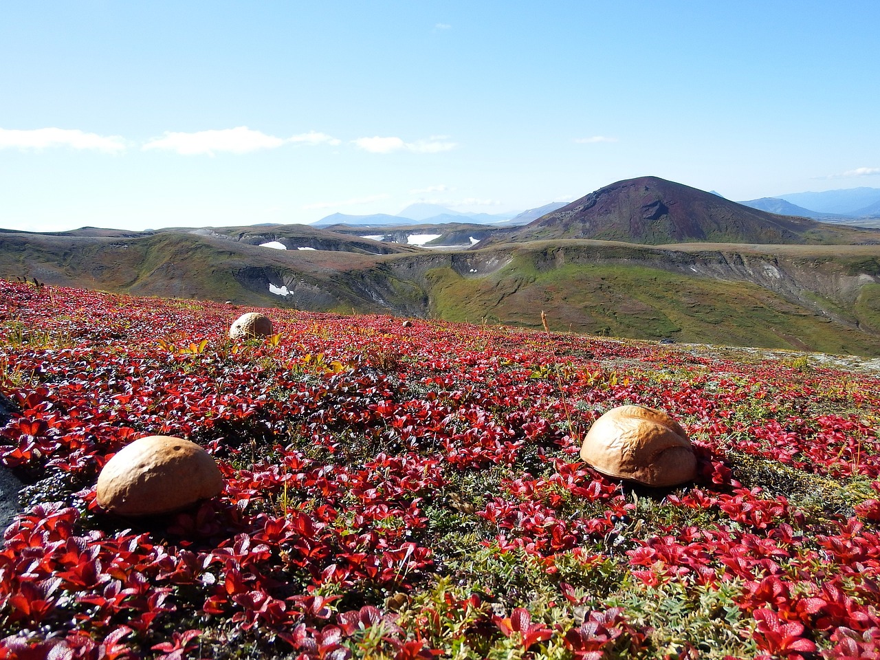 Image - mountains volcano tundra mushrooms