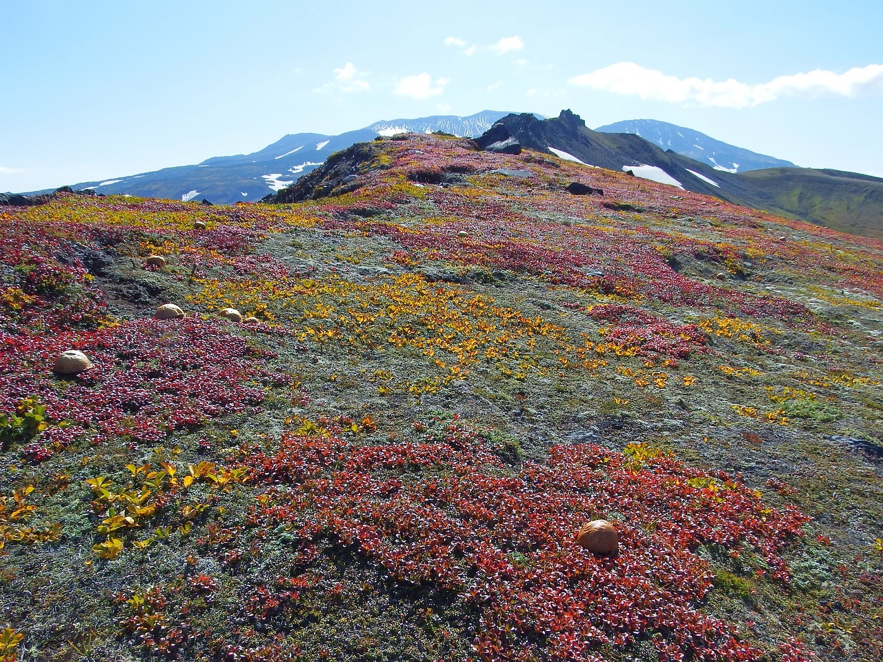 Image - mountains volcano tundra mushrooms