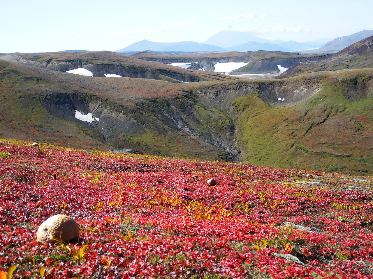 Image - mountains volcano mushrooms tundra