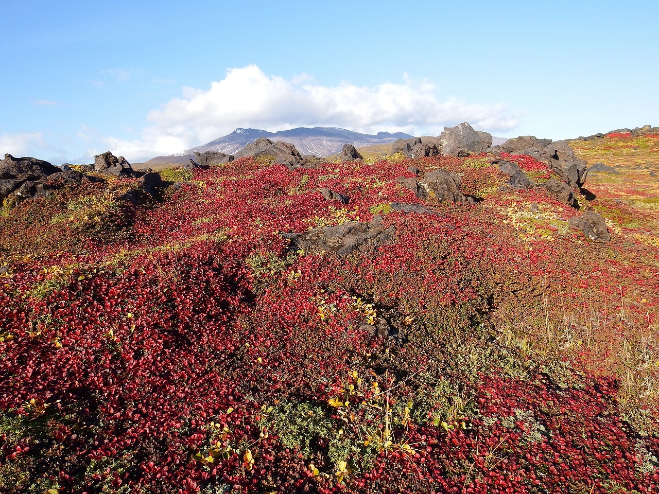 Image - mountains volcano tundra autumn