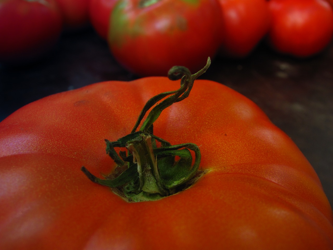 Image - tomatoes vegetables use harvest