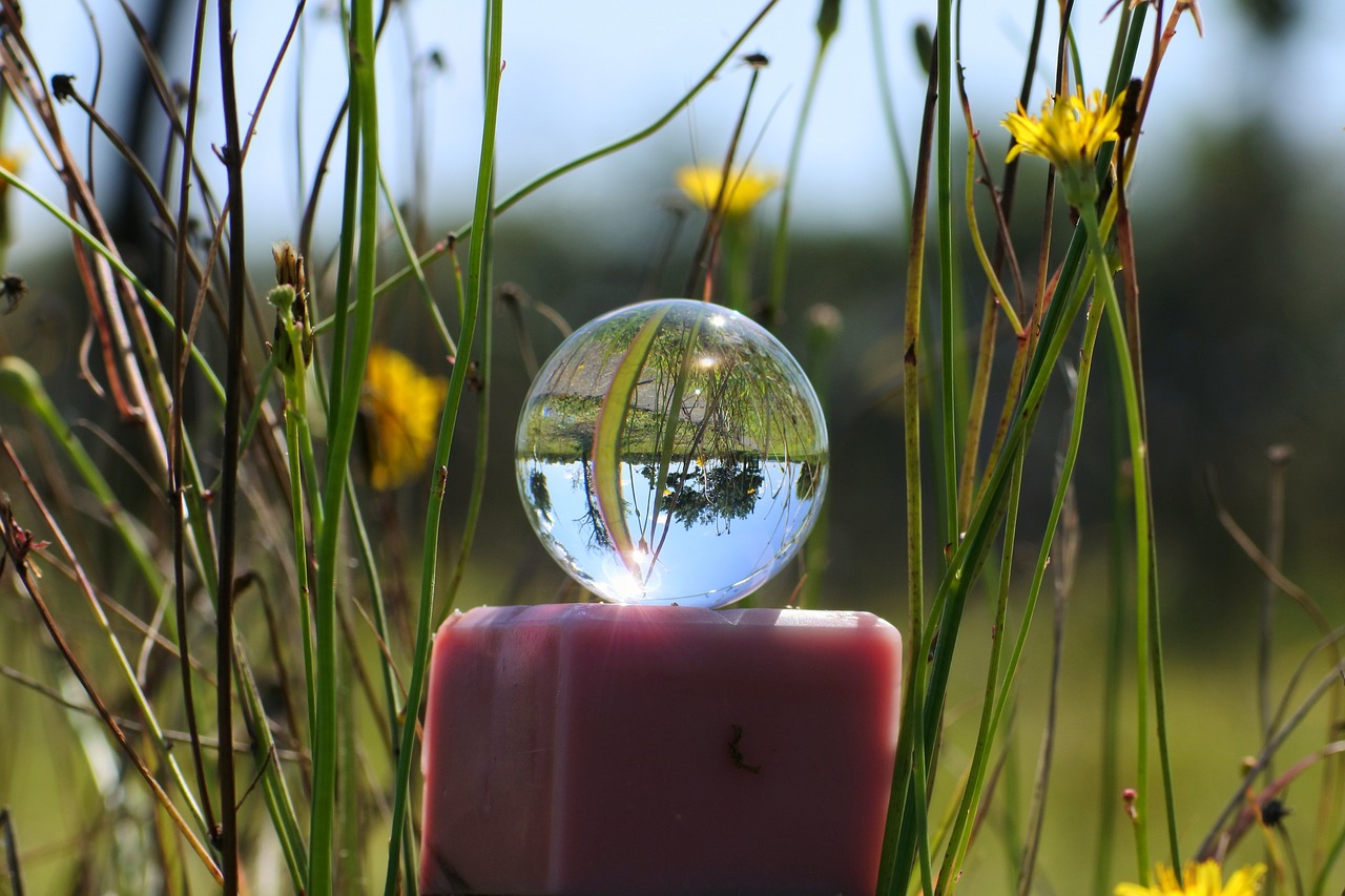 Image - natural landscape flowering plant