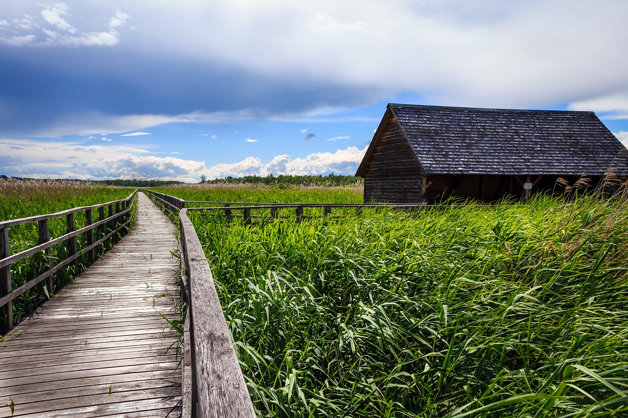 Image - spring lake bad buchau boardwalk