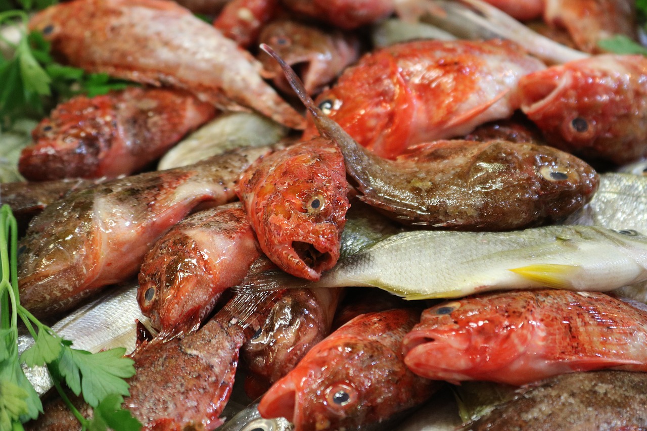 Image - fish market fish stand market hall