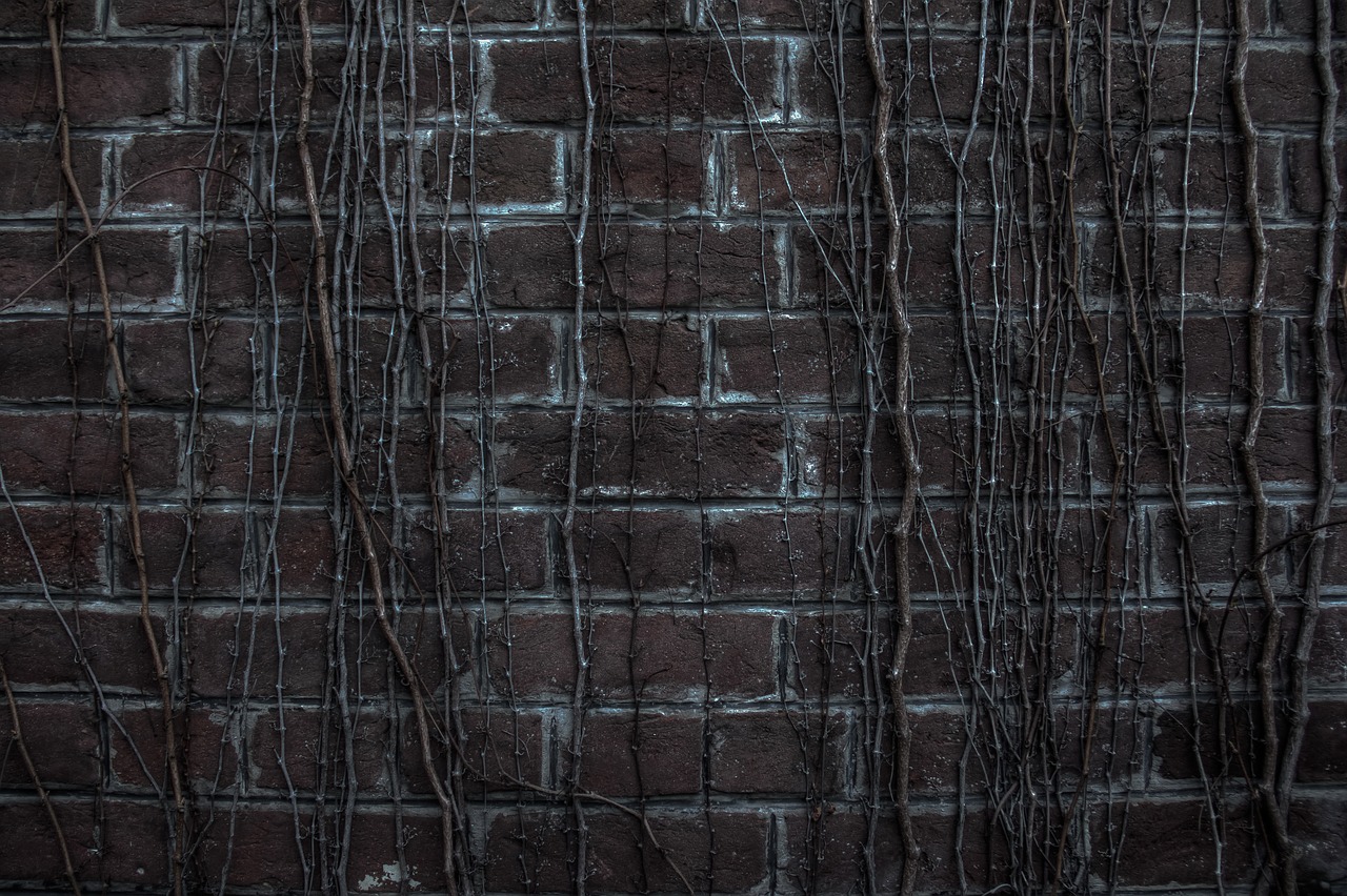 Image - dead plants wall dark old branch