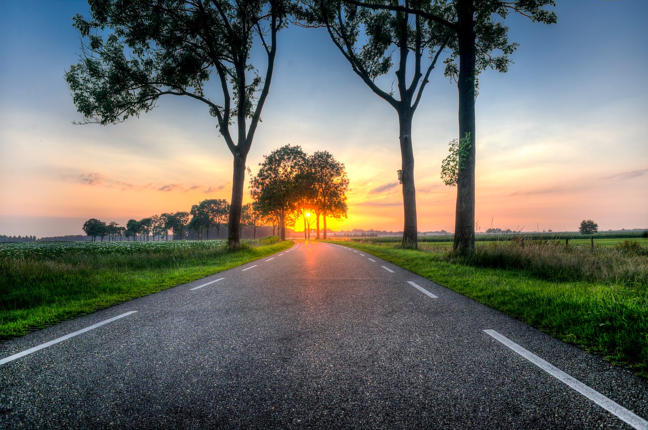 Image - sunset road trees asphalt sunlight