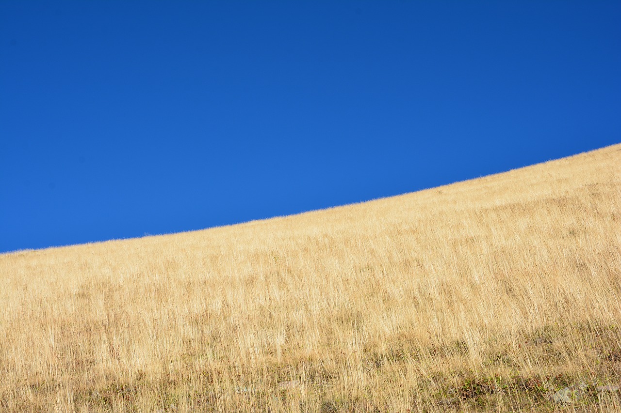 Image - grass kaçkars nature green