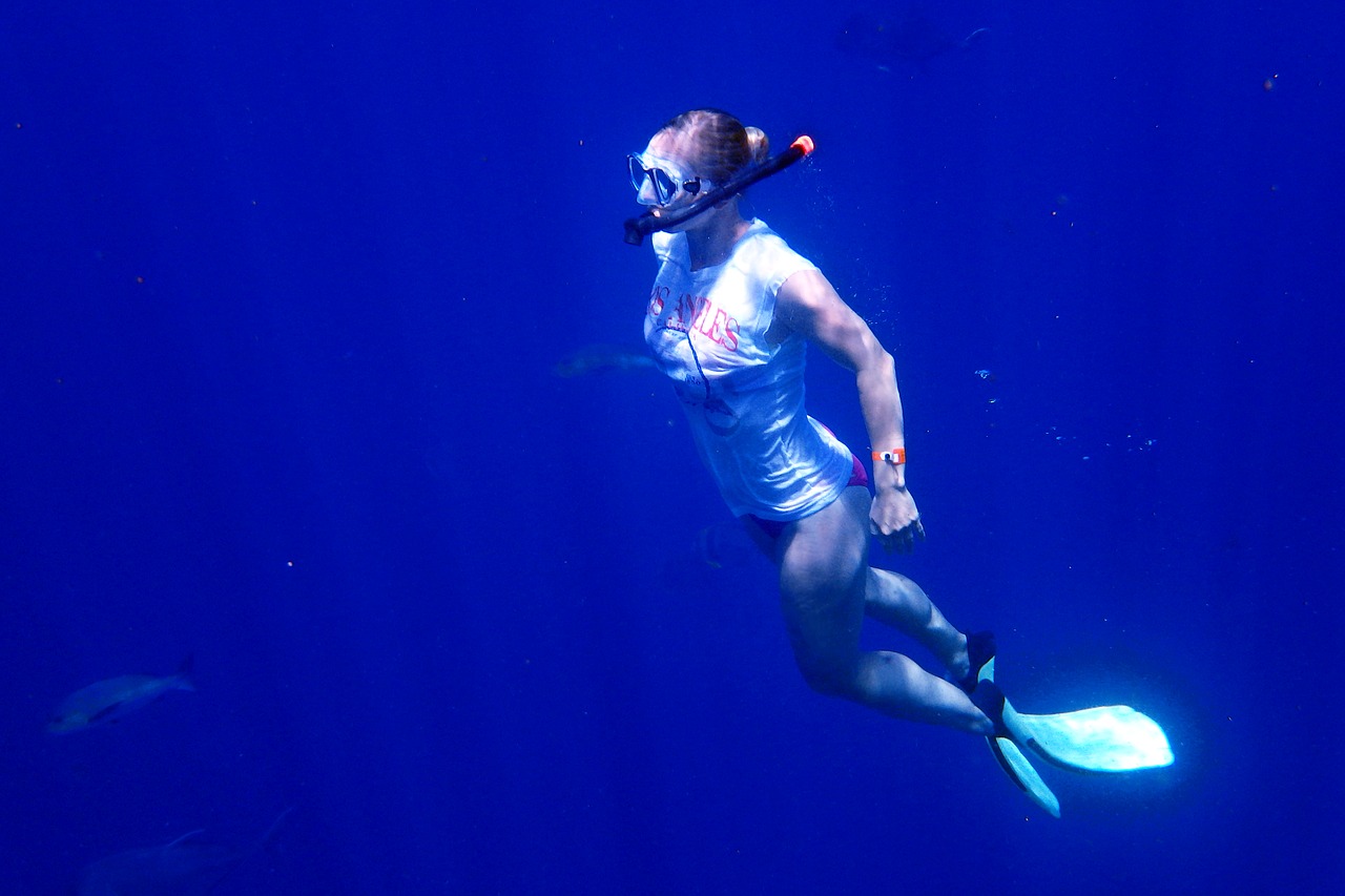 Image - swim snorkel dive blue sea water