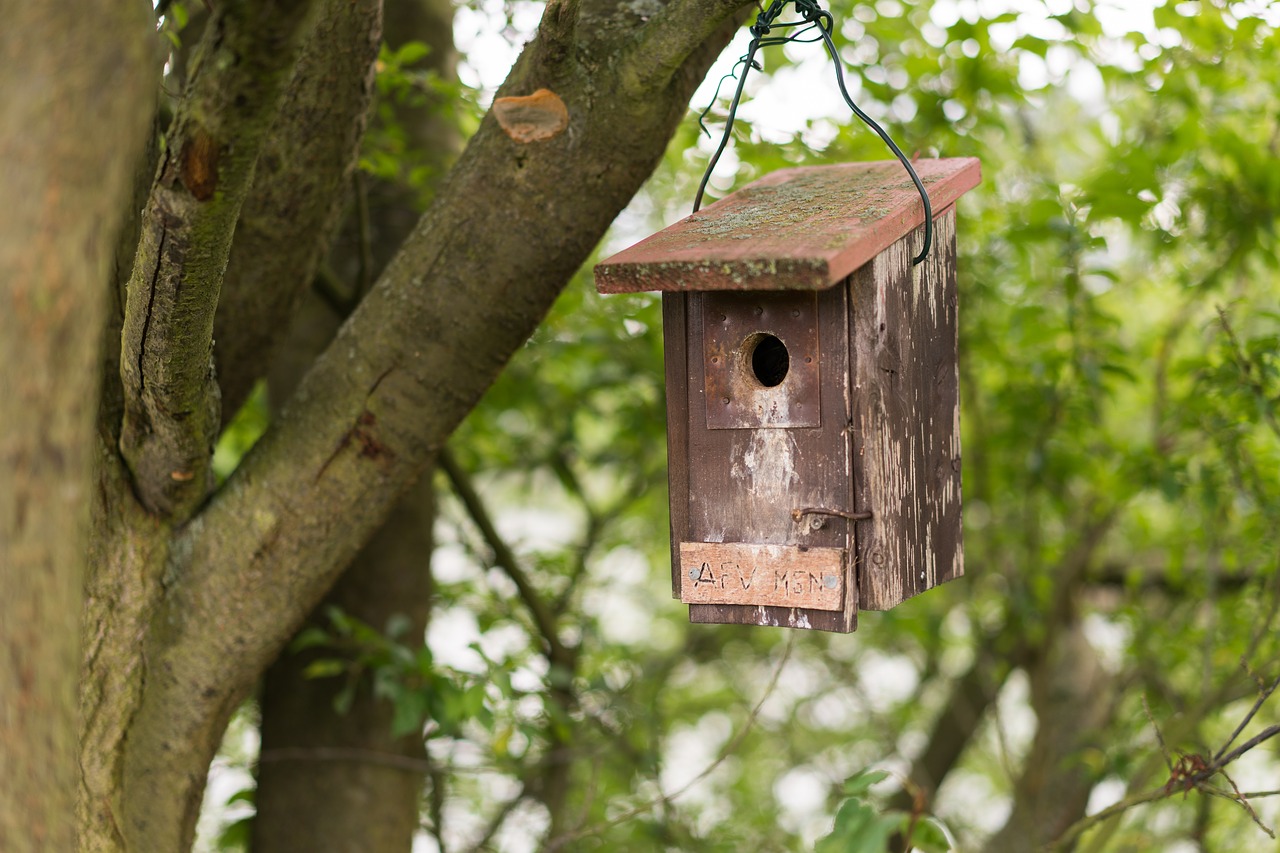 Image - aviary forest tree nature shelter