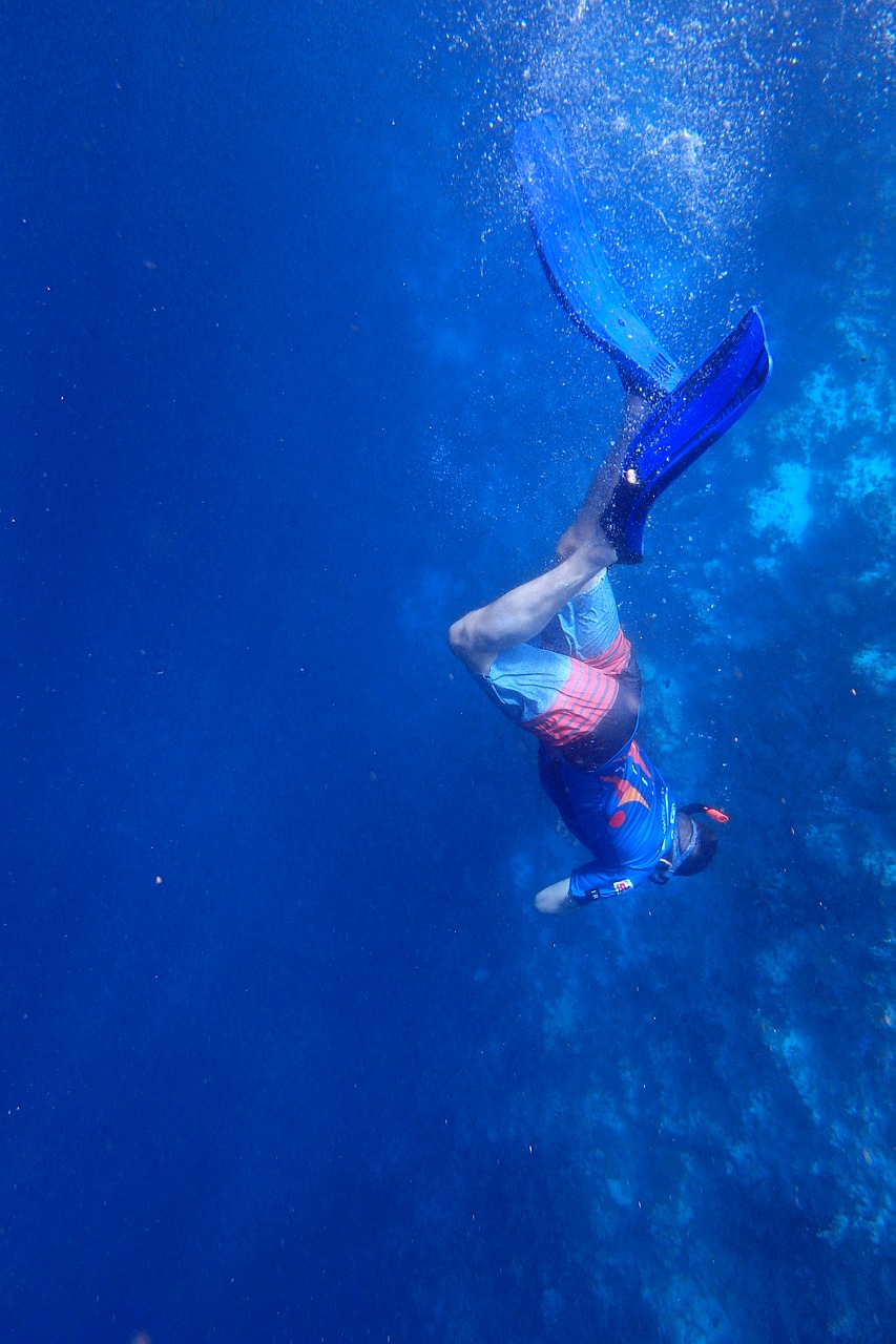 Image - dive snorkel boy underwater blue