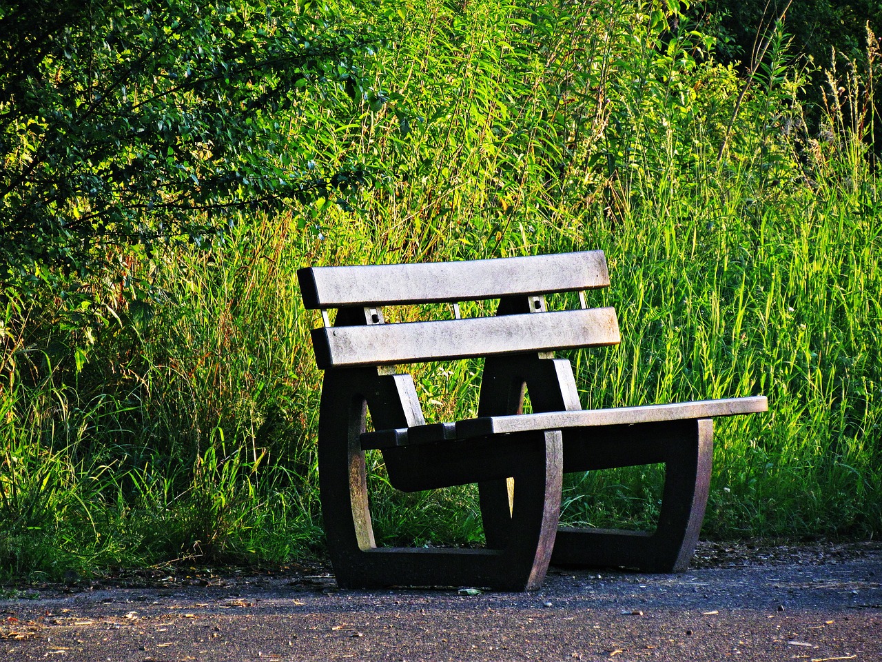 Image - bench park spacer rest tree