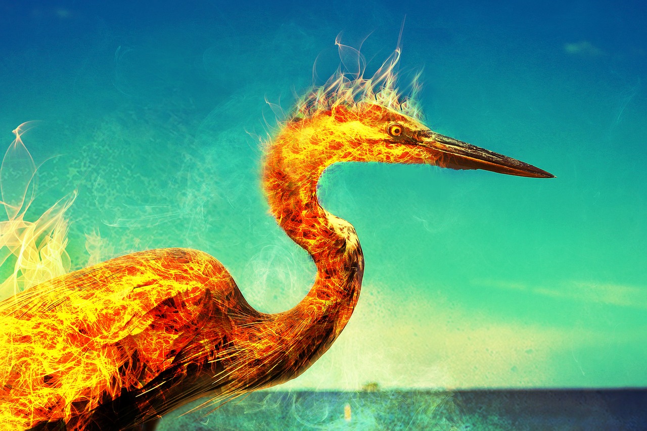 Image - phoenix flames heron bird