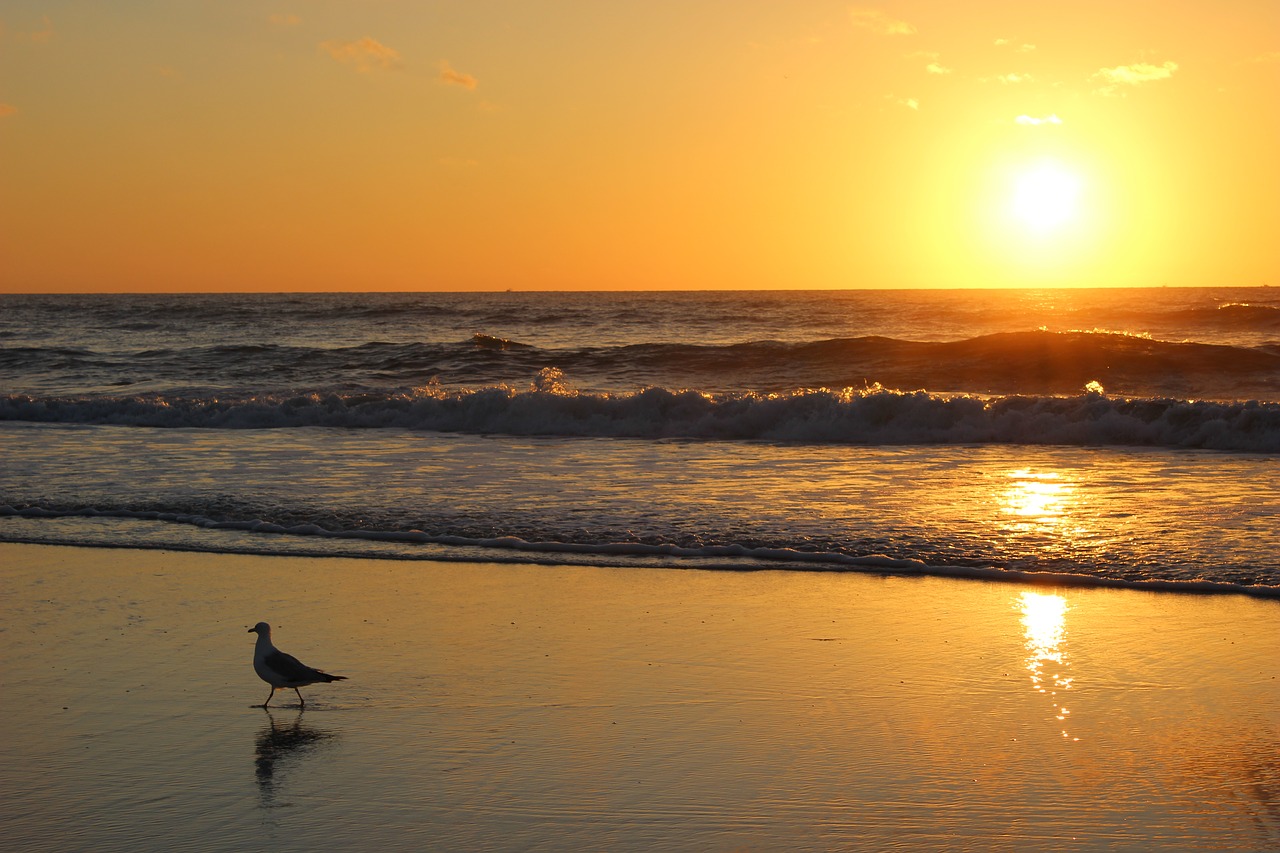 Image - jacksonville beach sunrise travel