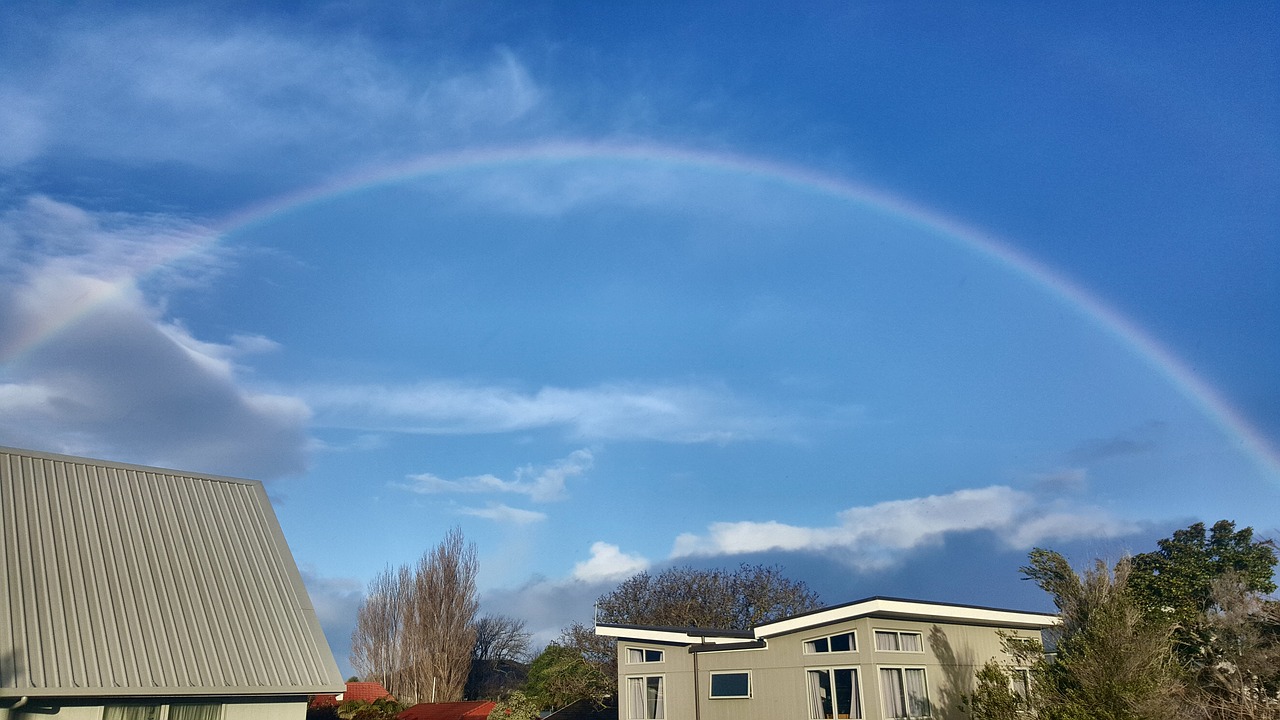 Image - new zealand rainbow buildings tree