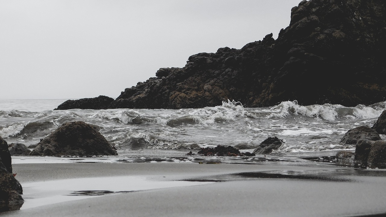 Image - nature ocean muir beach sand water