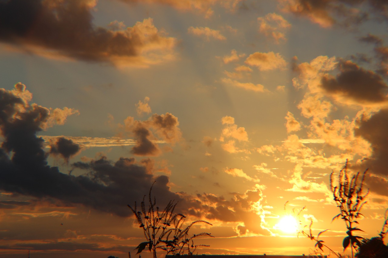 Image - sunset trees partly cloudy