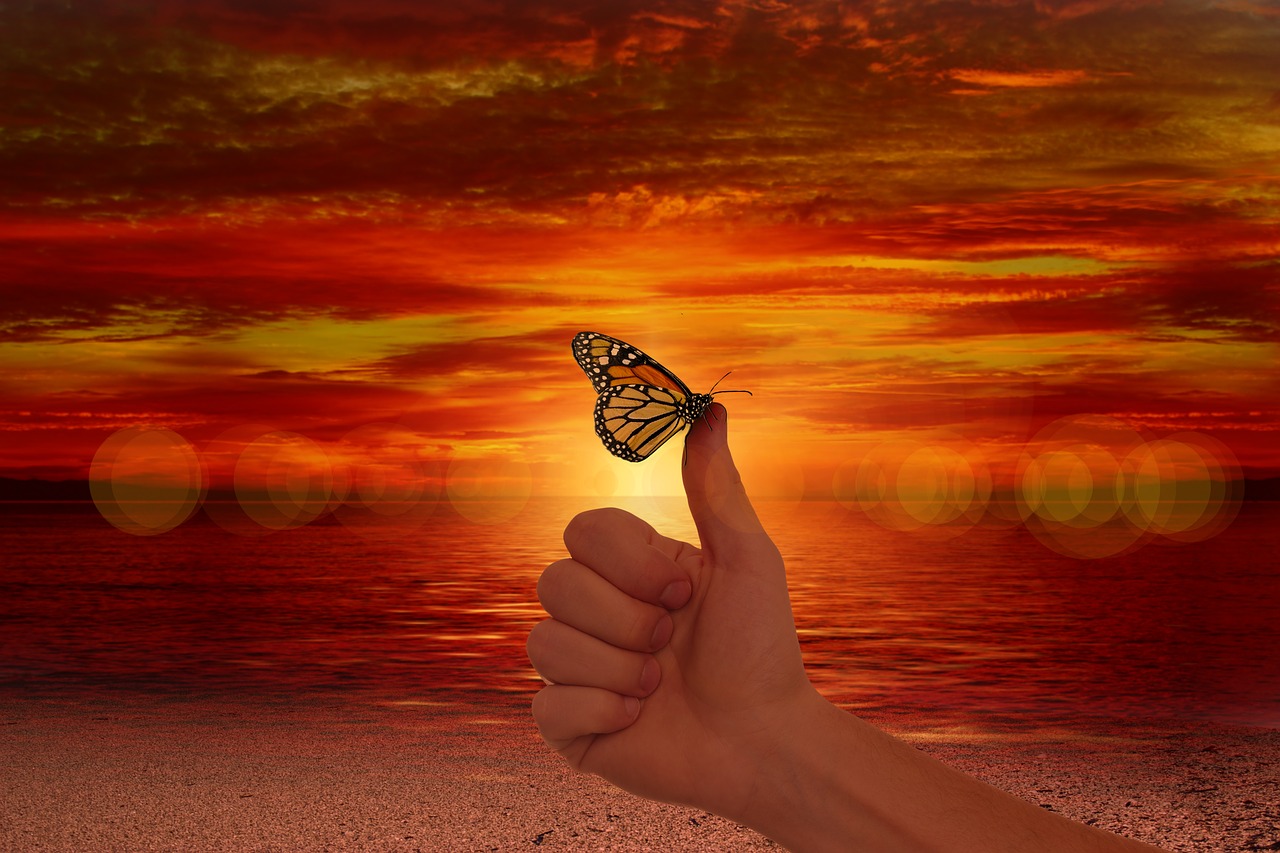 Image - like thumb butterfly ease wellness