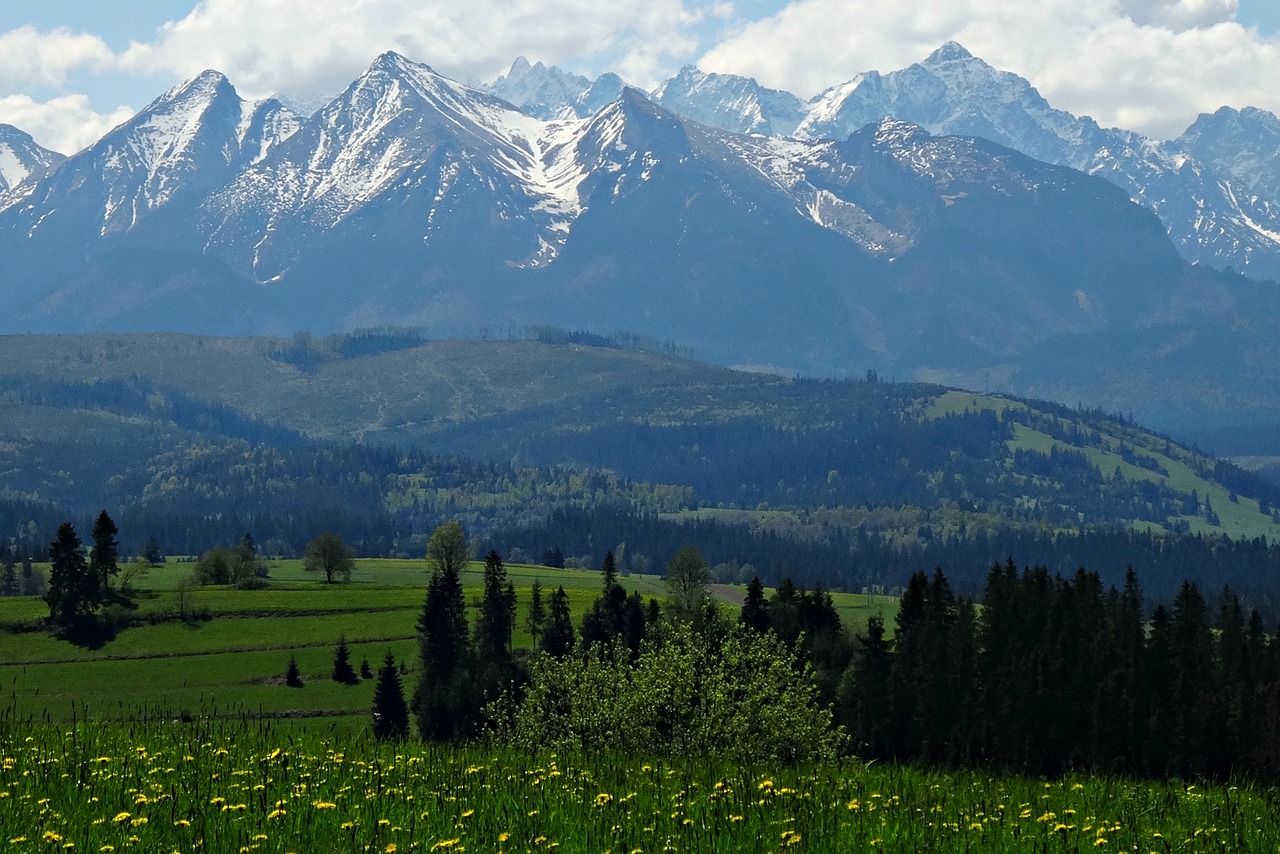 Image - mountains spring tatry nature