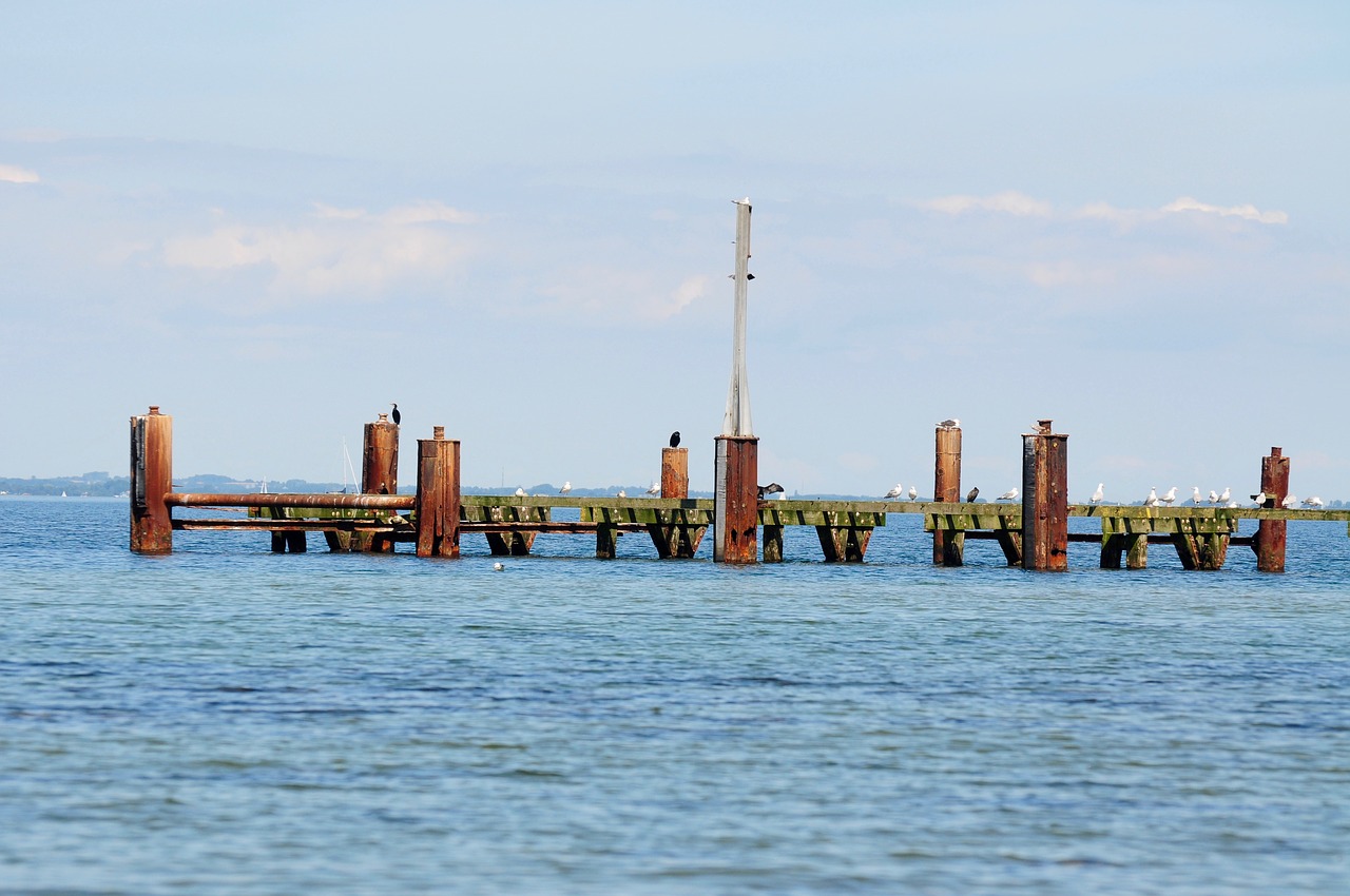 Image - coast web sea water boardwalk