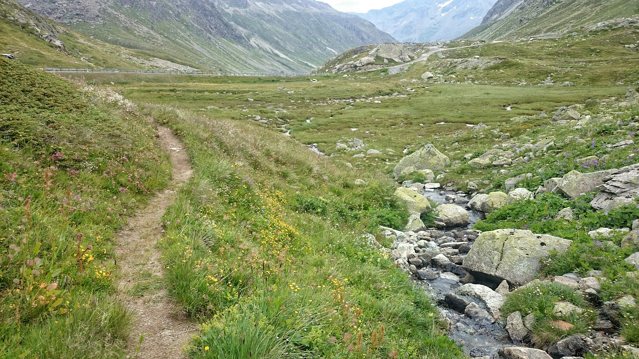 Image - the path relax mountain stream