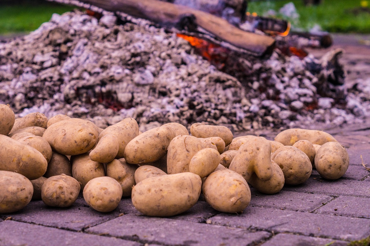 Image - potato fire potato roast embers eat