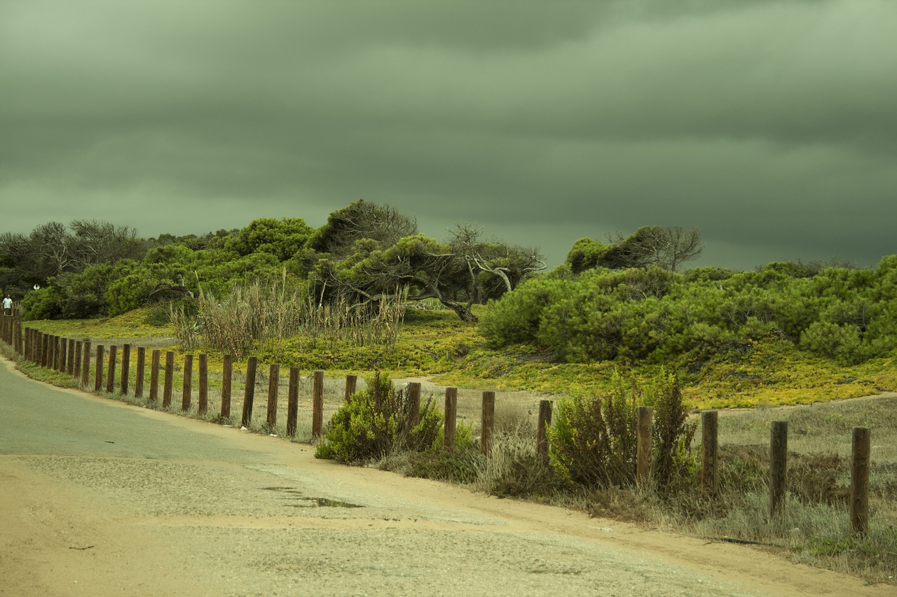 Image - storm in the dunes