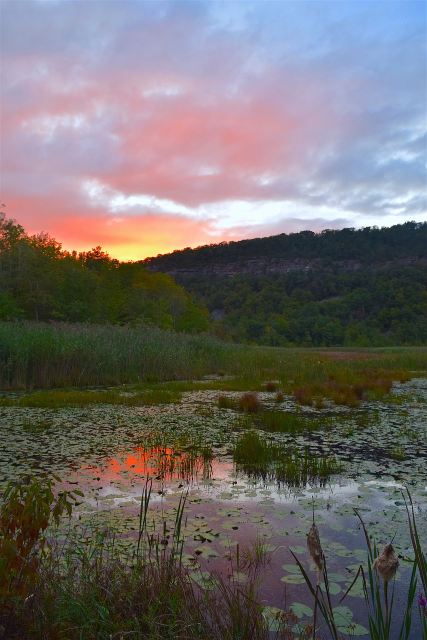 Image - pond sunset sky red color nature