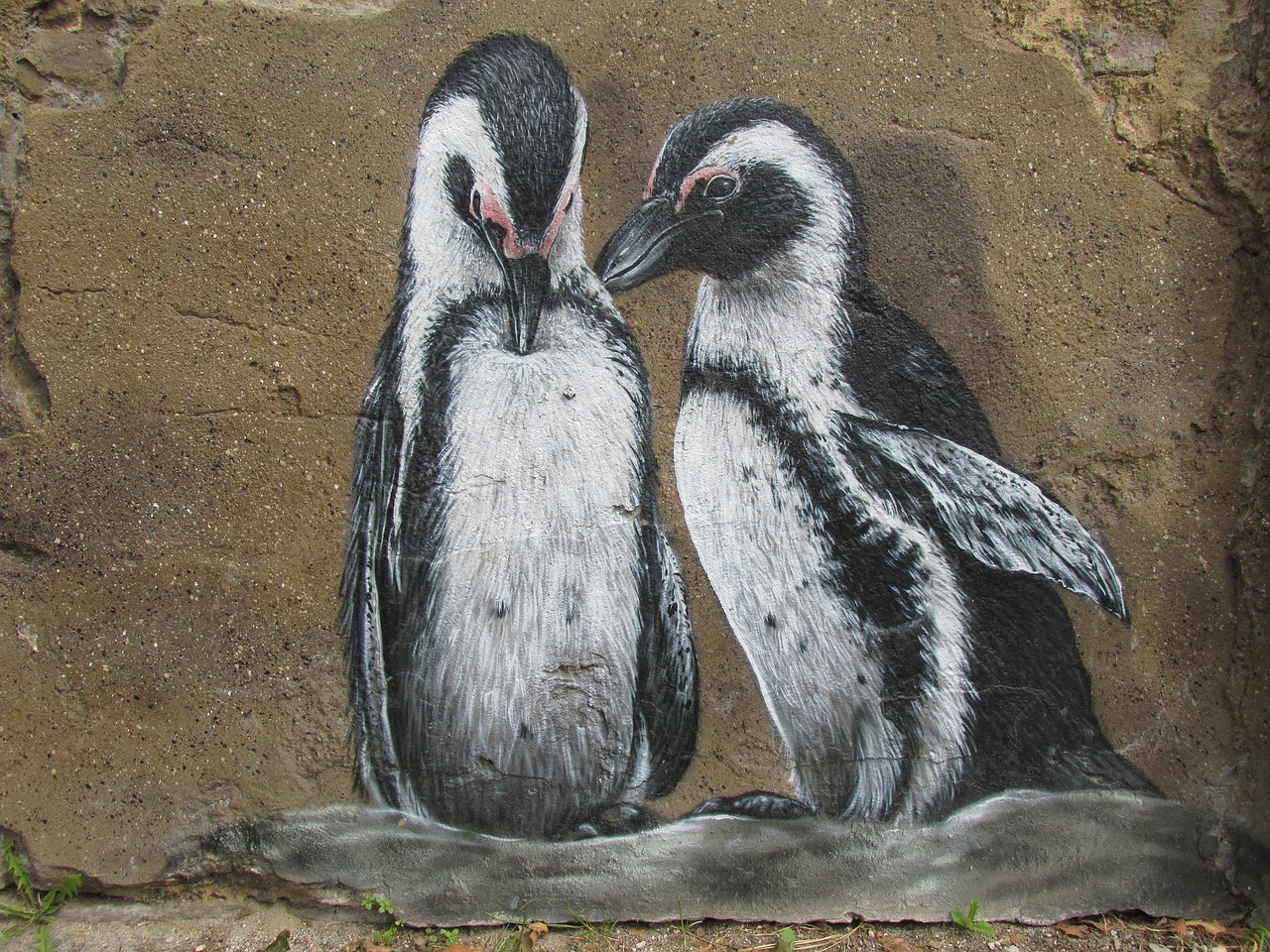 Image - penguins wall art wall zoo berlin