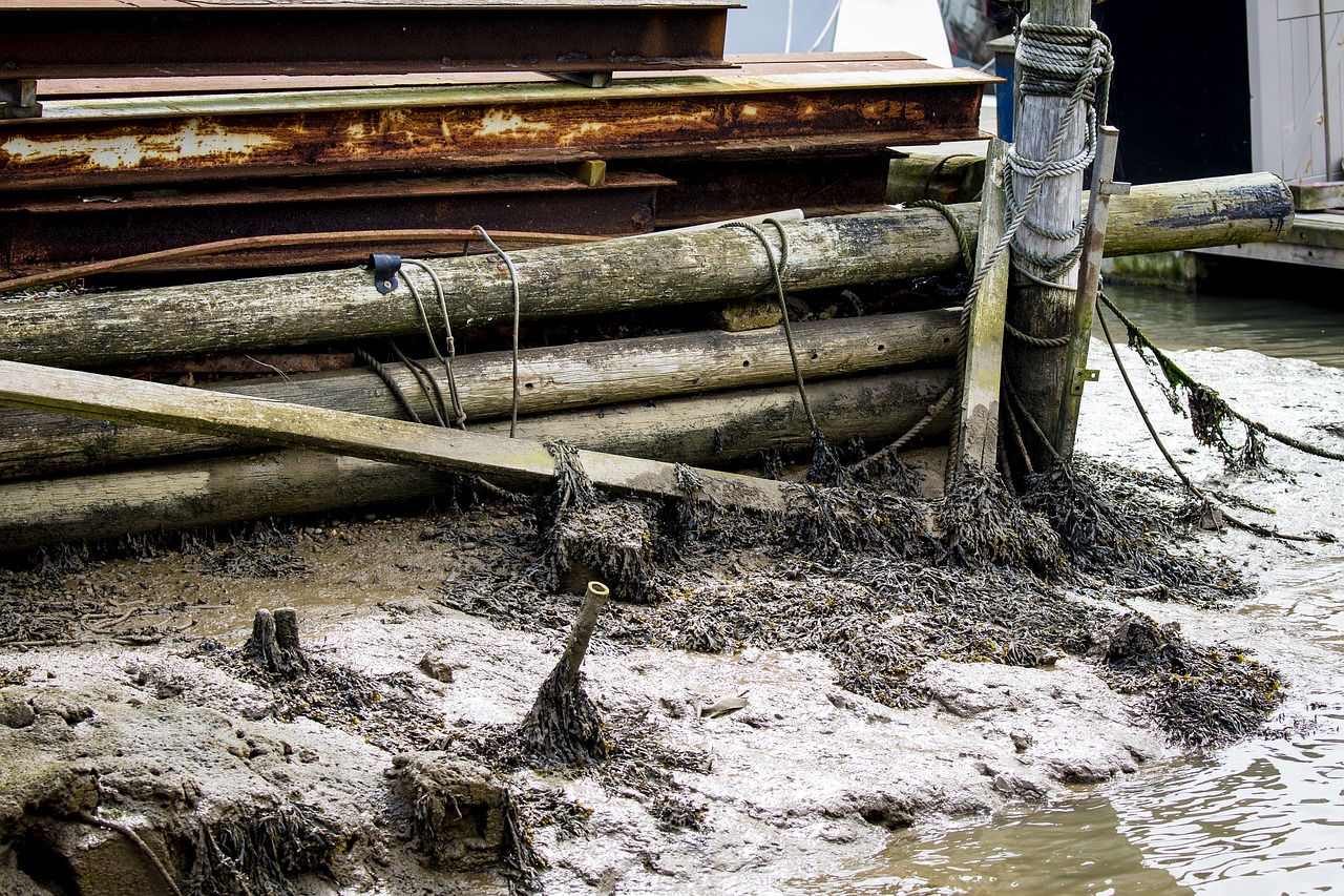 Image - estuary detritus mud rope