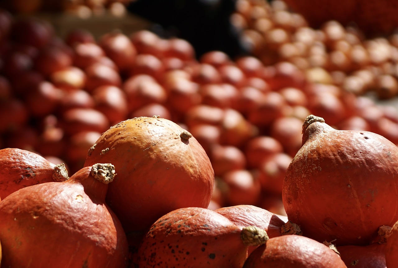 Image - pumpkins pumpkin orange harvest