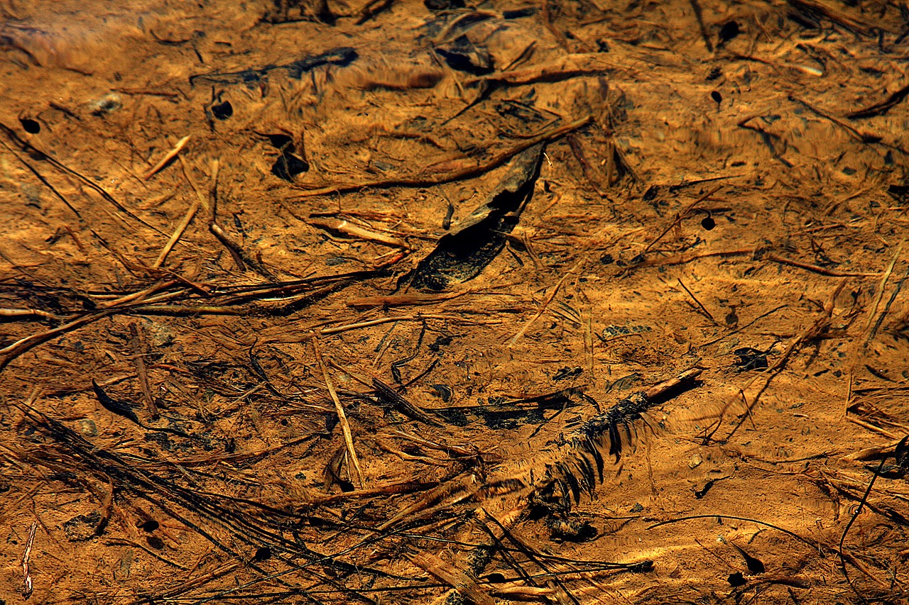 Image - water abstract gerino pond