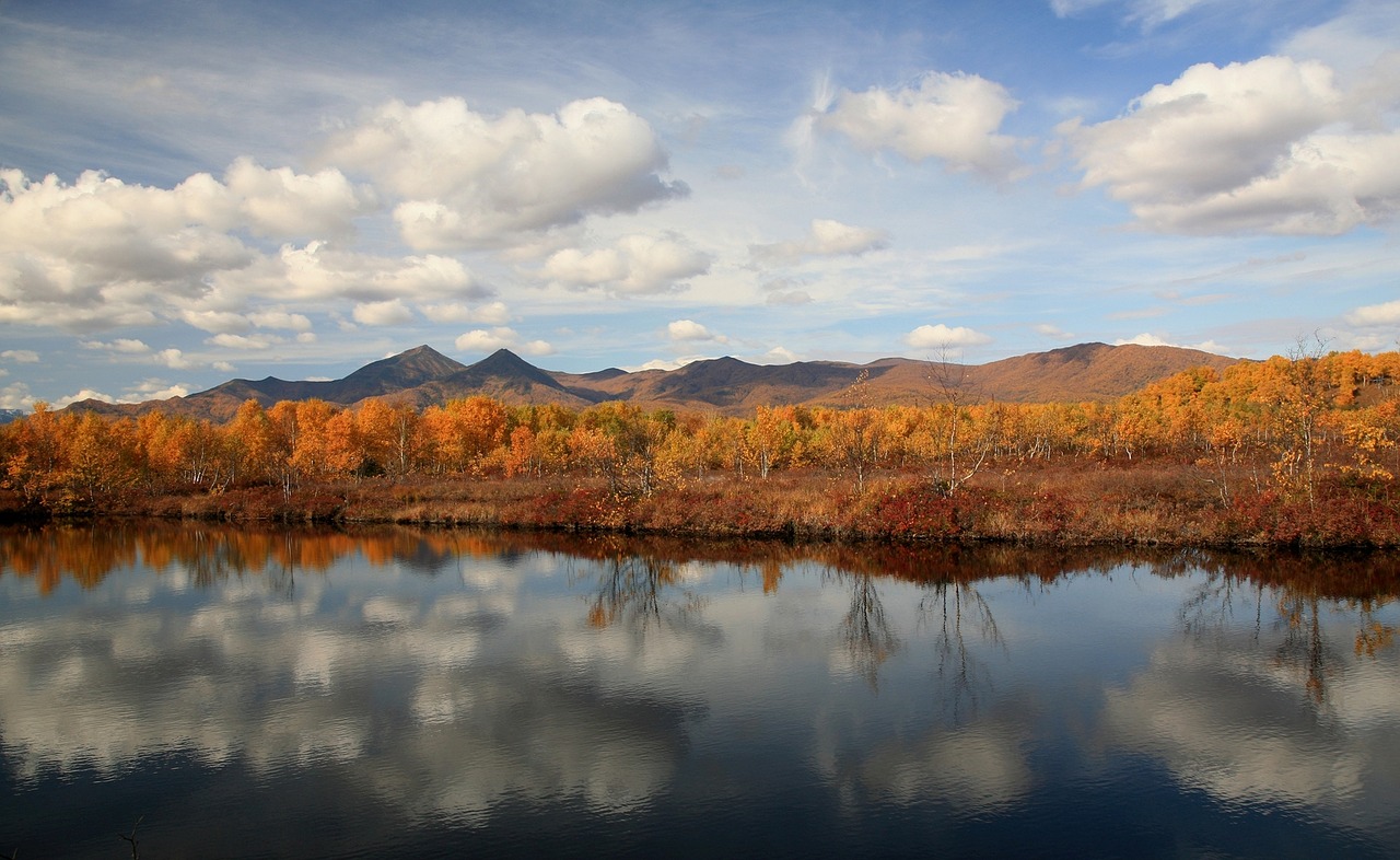 Image - autumn forest lake mountains
