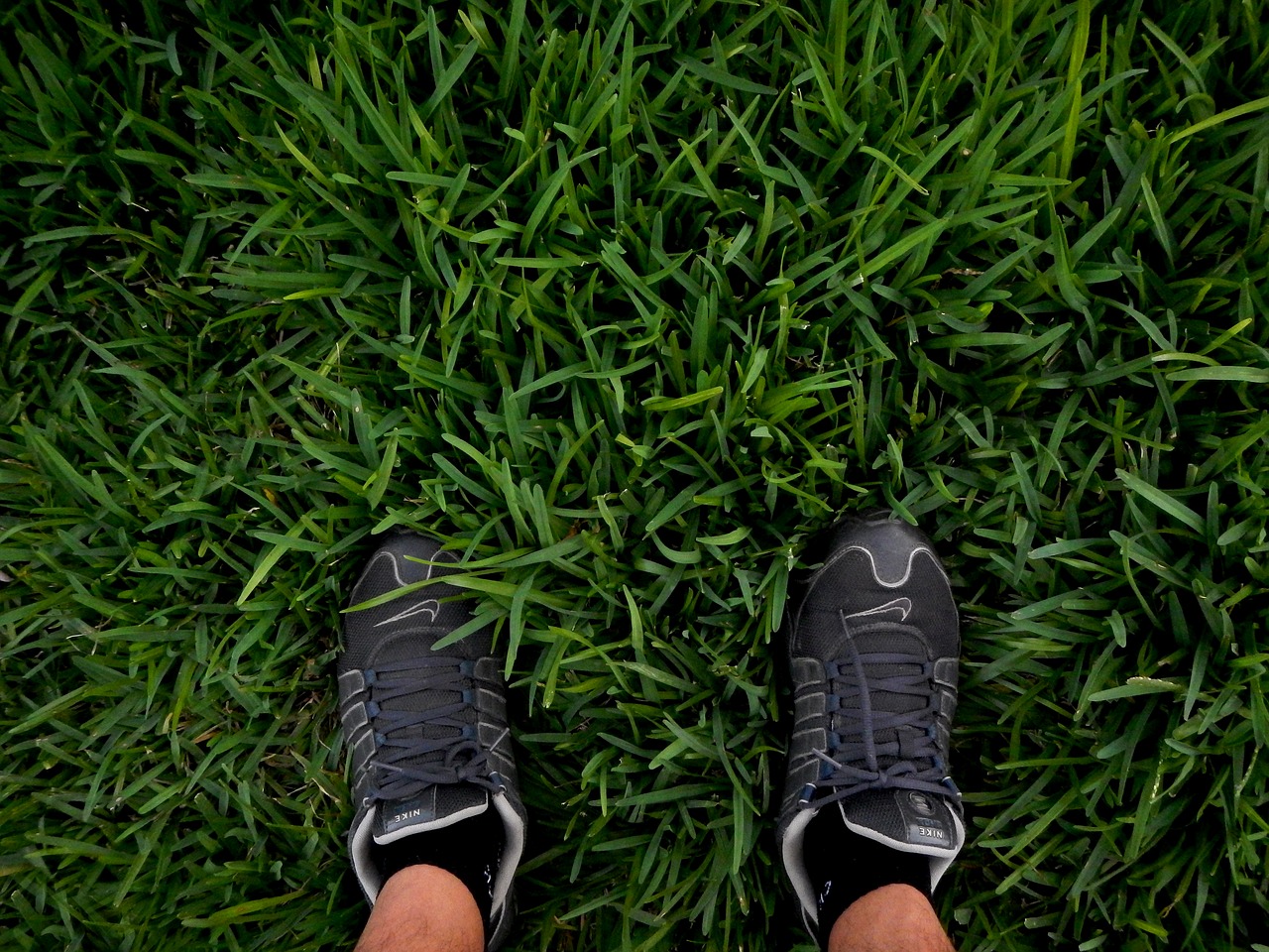 Image - standing shoes lawn peaceful foot