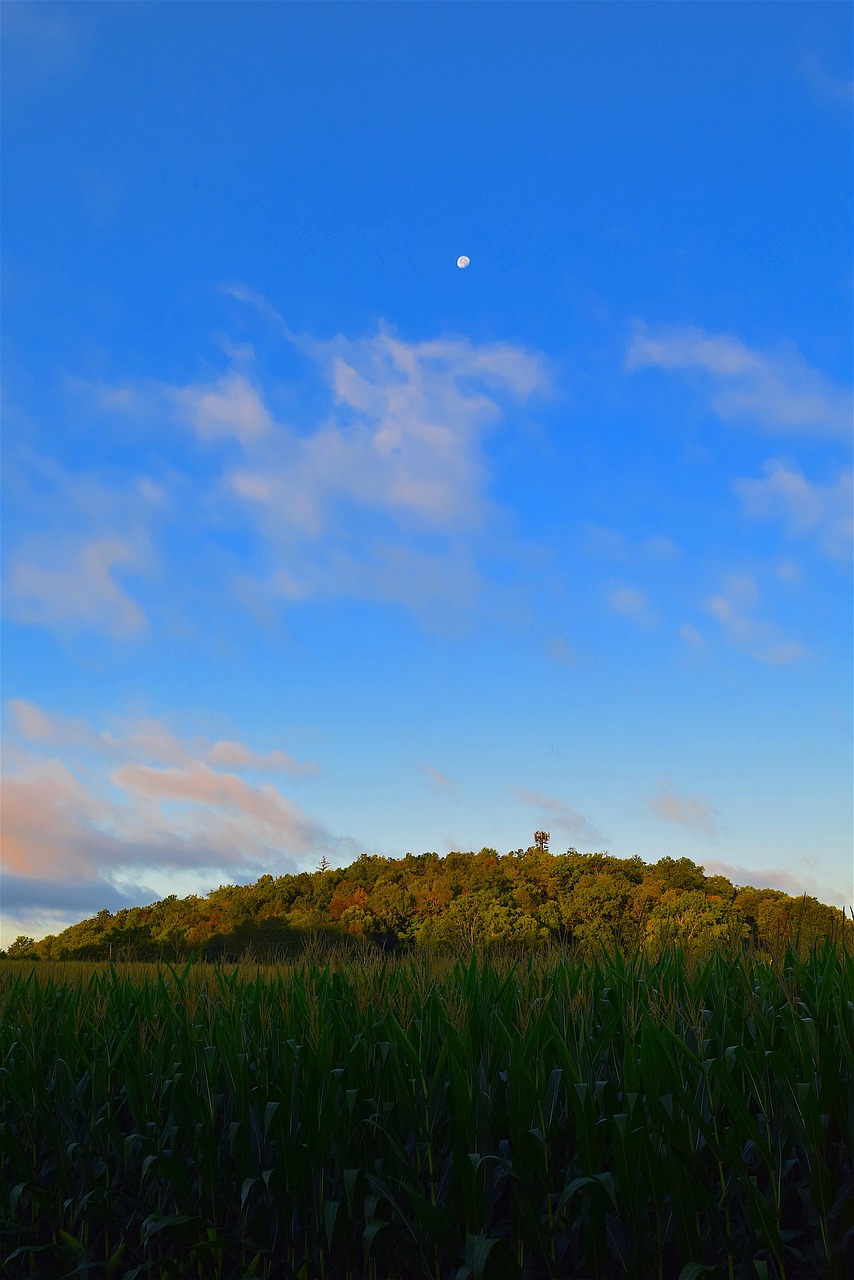 Image - mountain sunrise green grass