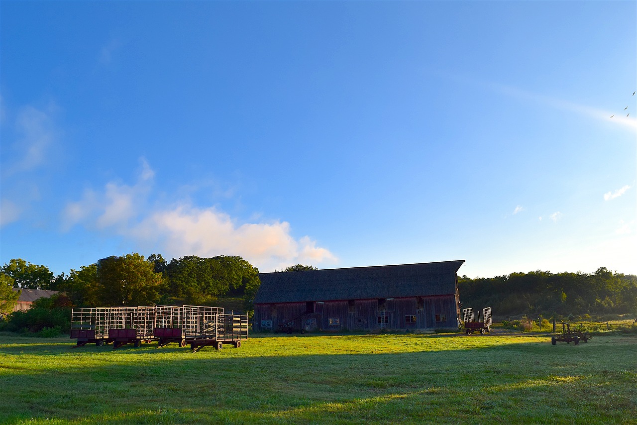 Image - barn farmland sunrise sunlight